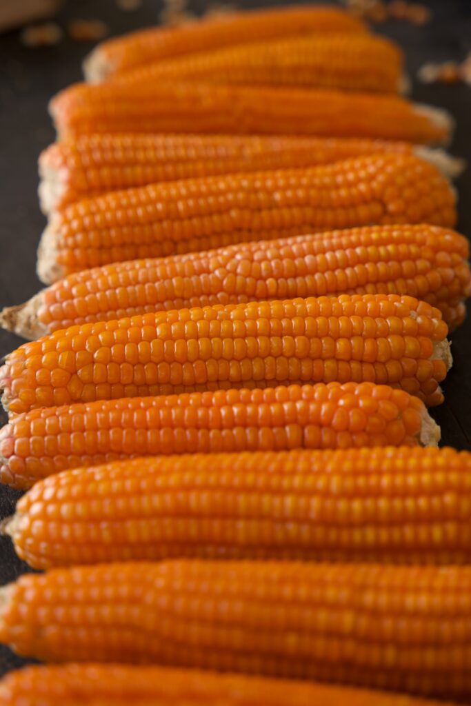 orange corn