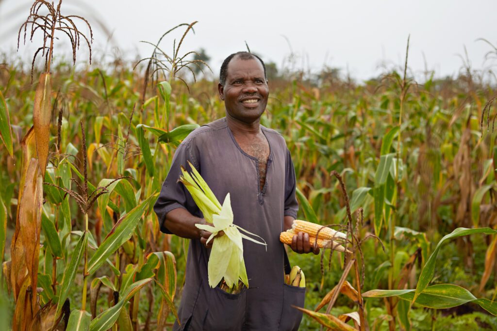 Zambian farmer with Orange Corn