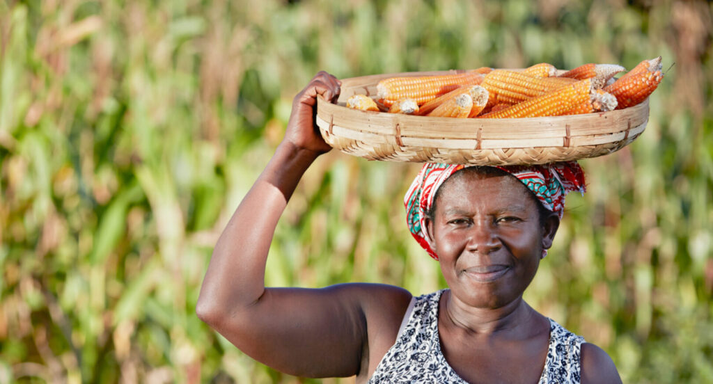 Zambia Maize Woman With corn Basket