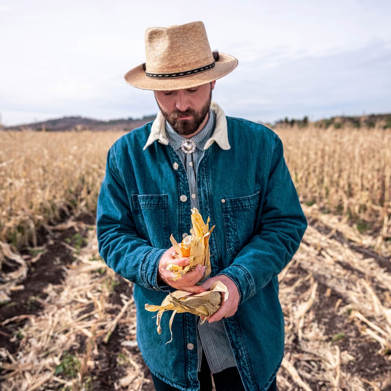 Professor Torbert's Orange Corn