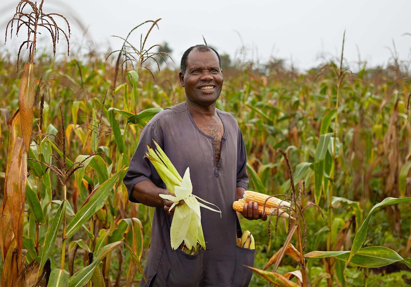 Professor Torbert's Orange Corn